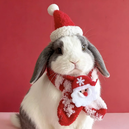 Christmas Bunny Scarf & Hat Set