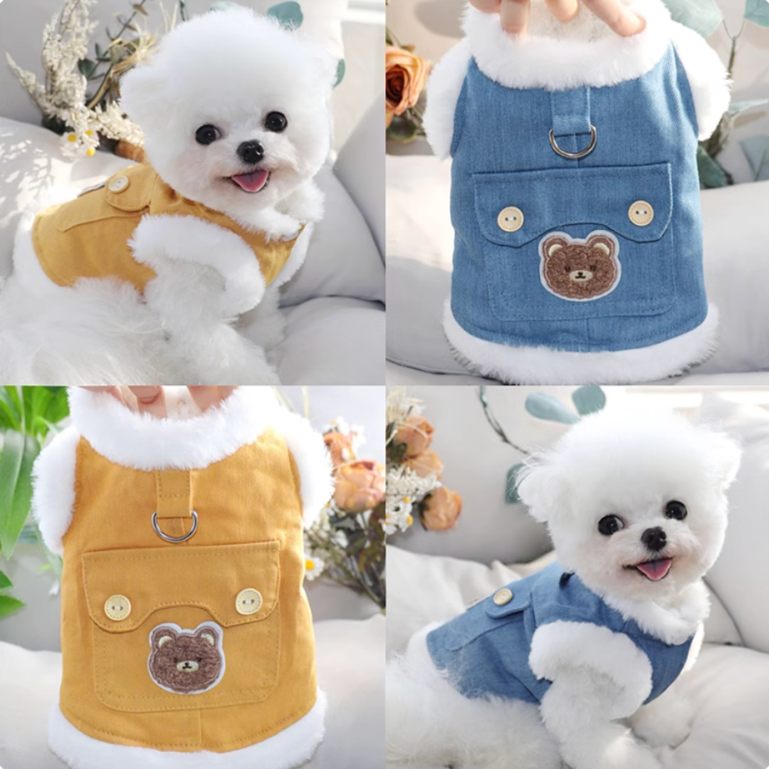 Winter Teddy Bear Coat for Small Dogs (Latchable)
