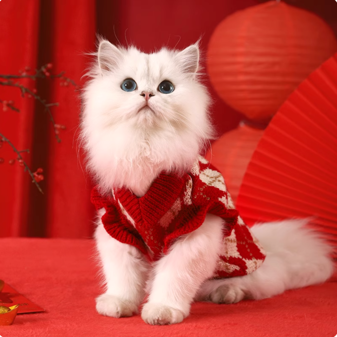 Cat & Dog Cherry Knit Sweater