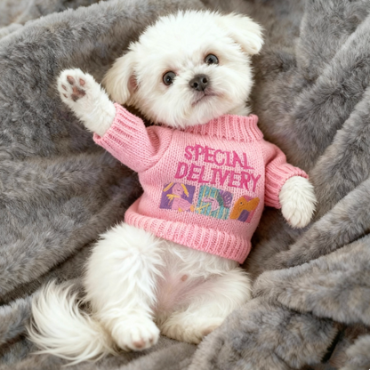Puppy&Kitten Barbie Pink Sweater