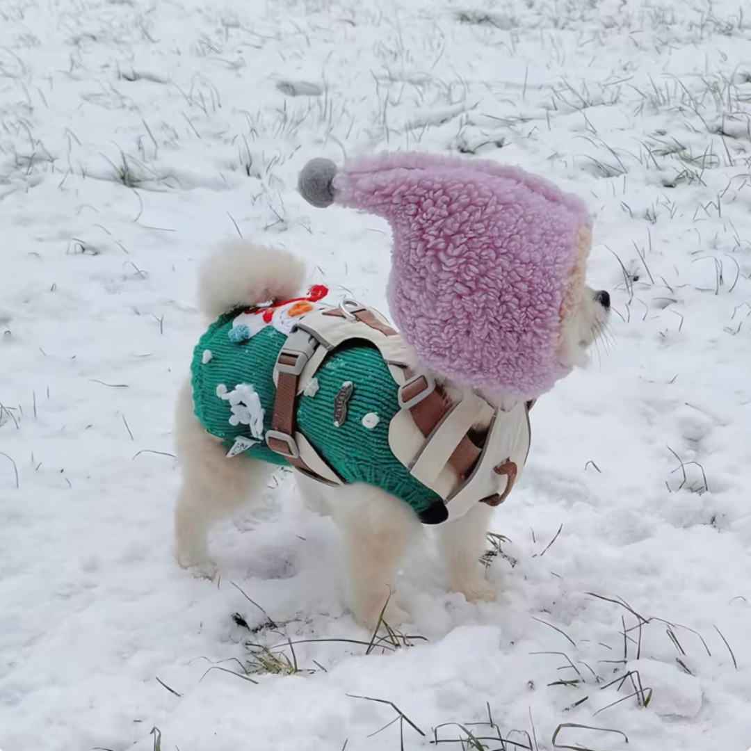 Dog & Cat Winter Warmth Outdoor Fun Wiz Hat