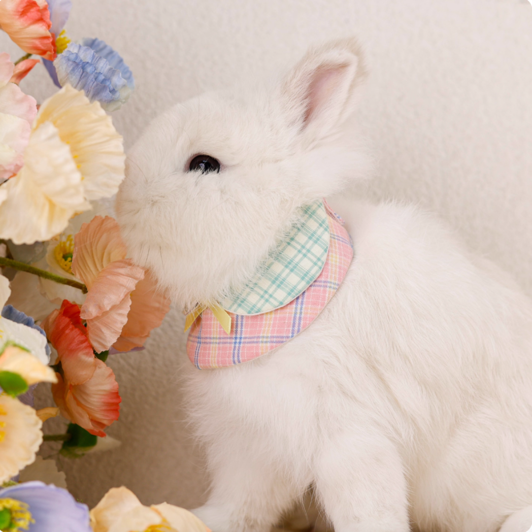 Green & pink plaid rabbit collar and bib