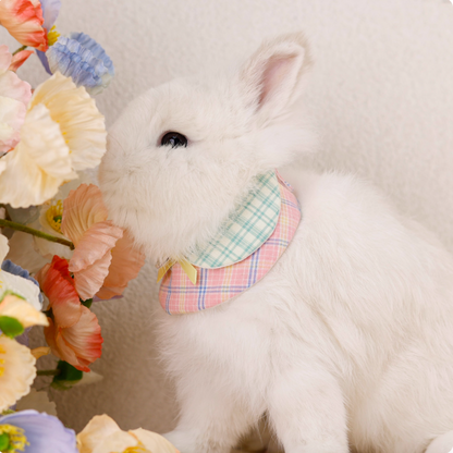 Green & pink plaid rabbit collar and bib