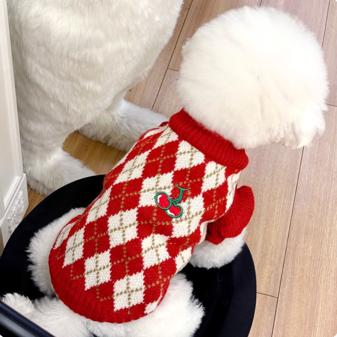 Cat & Dog Cherry Knit Sweater