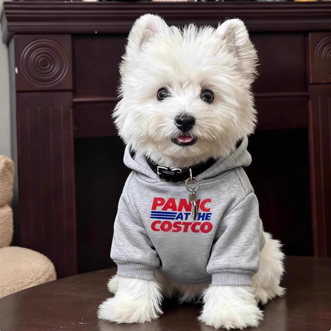 Preppy style fleece-lined sweatshirt