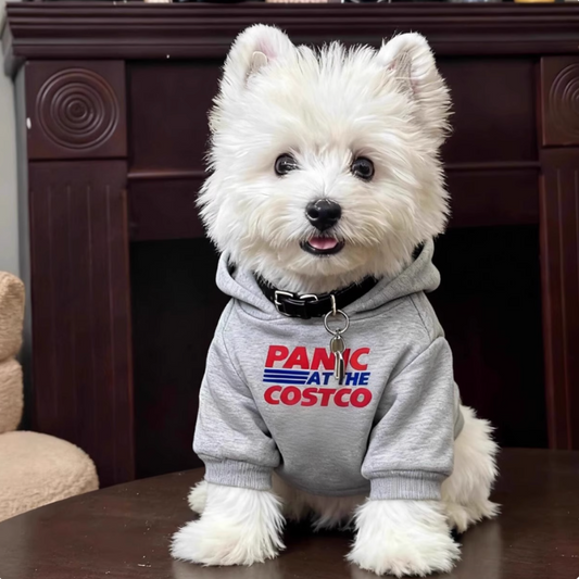 Preppy style fleece-lined sweatshirt