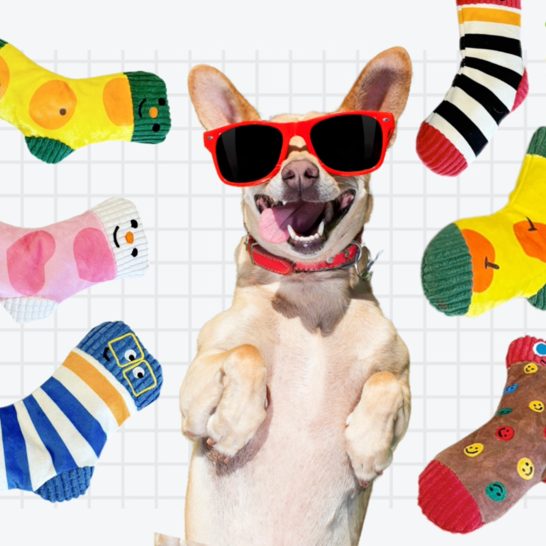 Cute Plush Sock-Shaped Treat Dispenser Toy