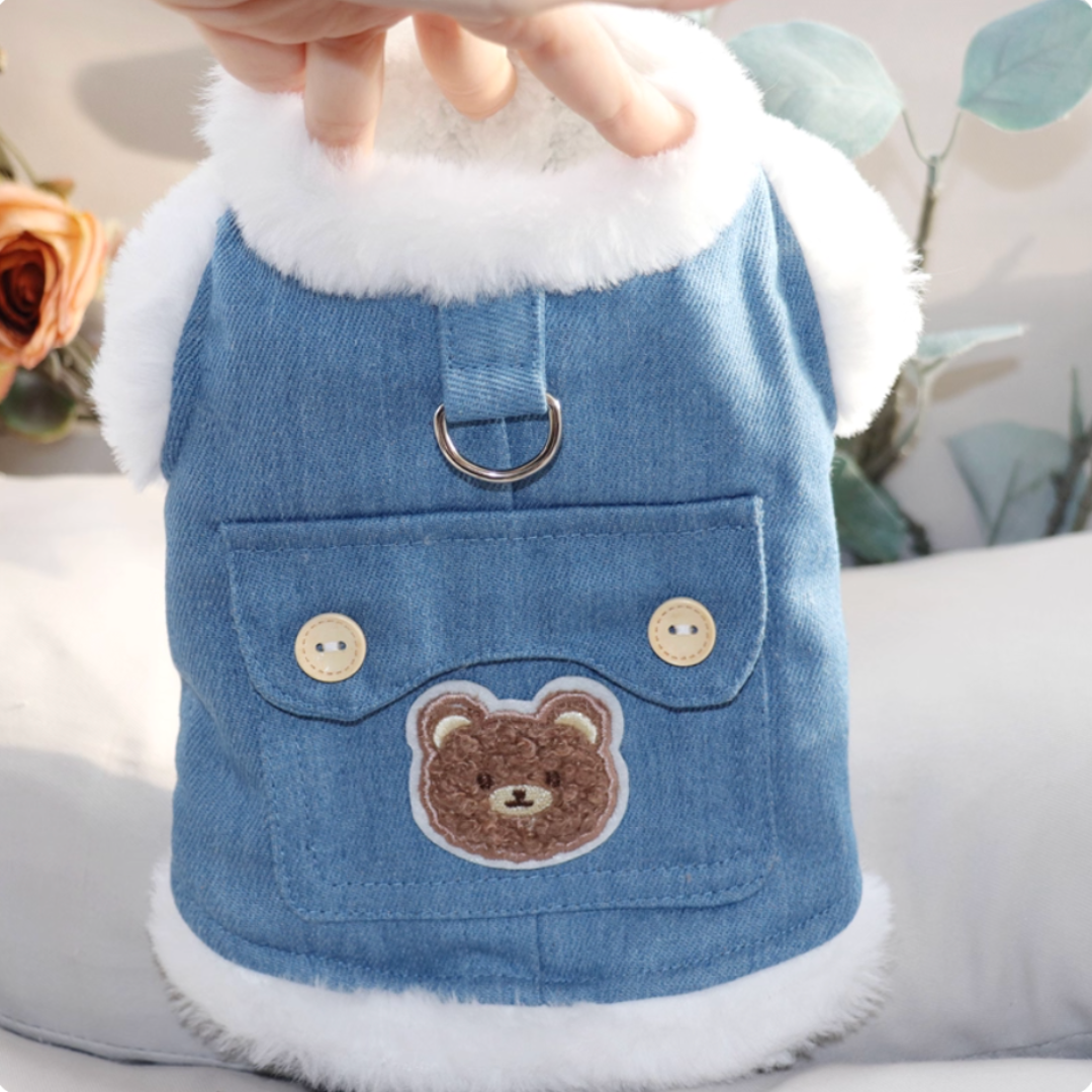 Winter Teddy Bear Coat for Small Dogs (Latchable)