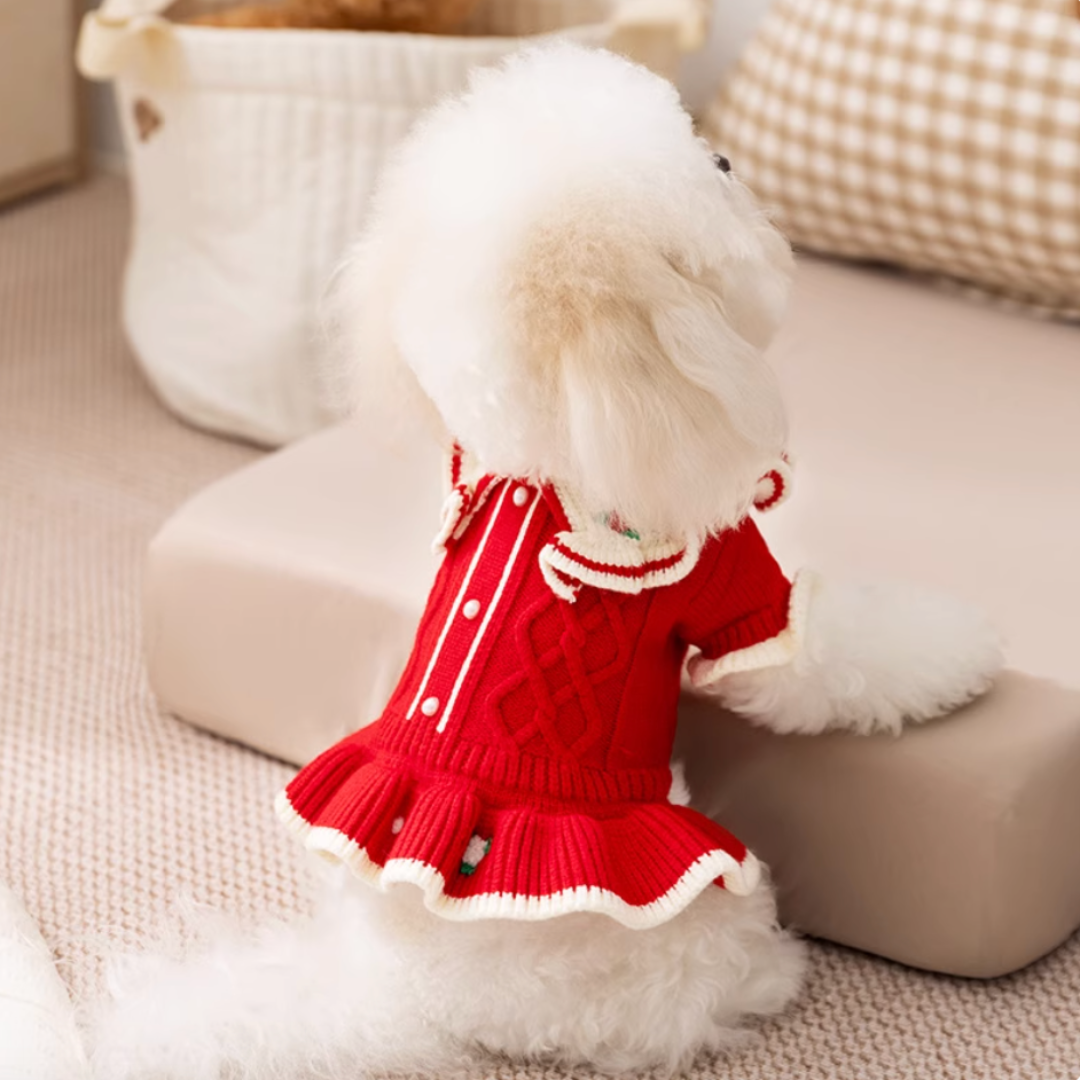 Red floral embroidered knit dress