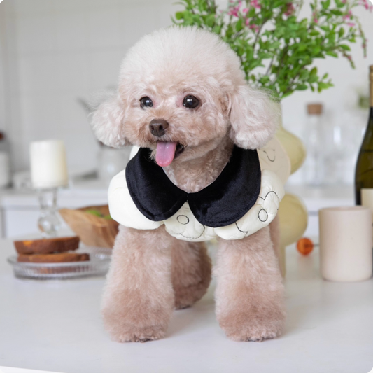 Black-and-White Floral Baby-Doll Collar Warm Coat