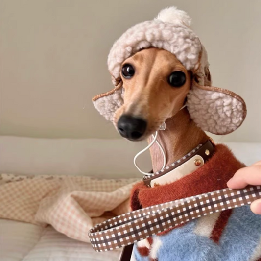 Adjustable Windproof and Warm Hats for Cats & Dogs