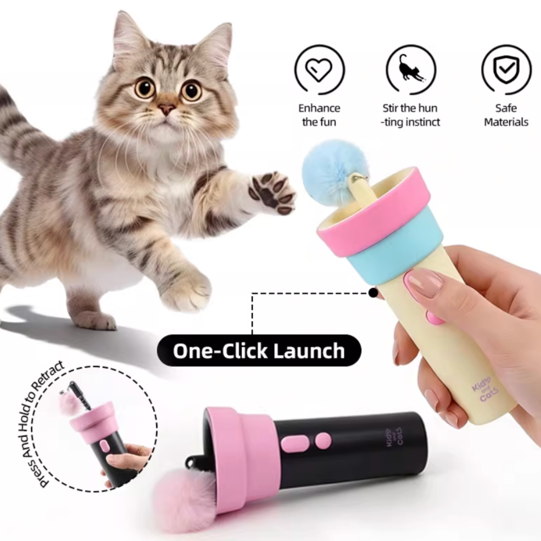 Electric cat toy (with automatic retractable launcher)
