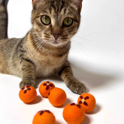 Cat wool felted ball toy set（Lemon, Pinecone）