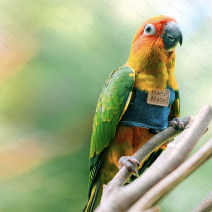 Parrot Flight Suit with Leash(2m)