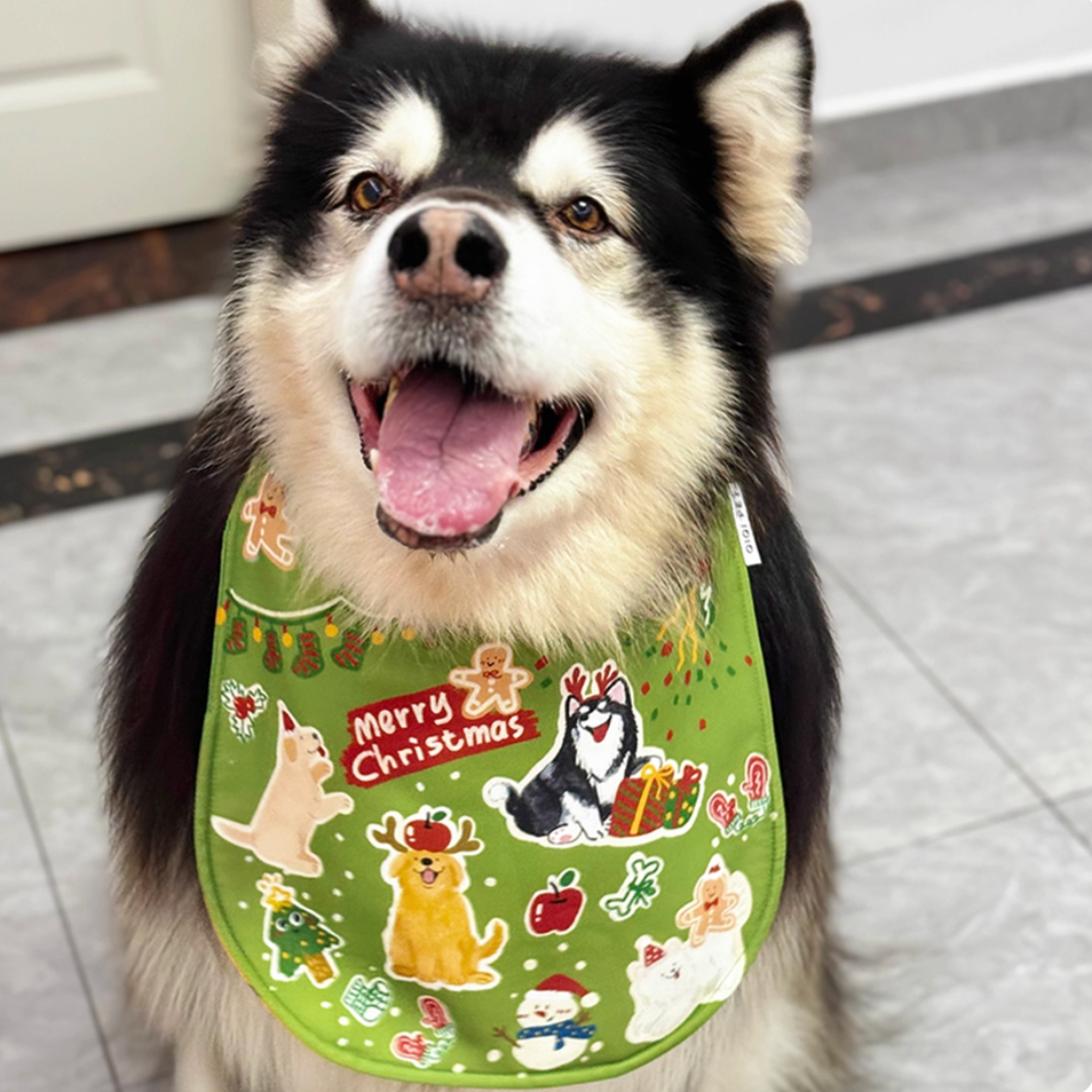 Celebrating Christmas with my puppy friends | Bibs