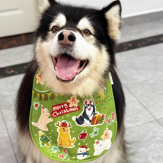 Celebrating Christmas with my puppy friends | Bibs