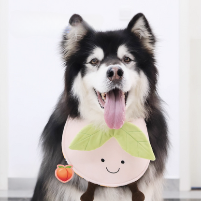 Cute fruit-shaped dog bibs