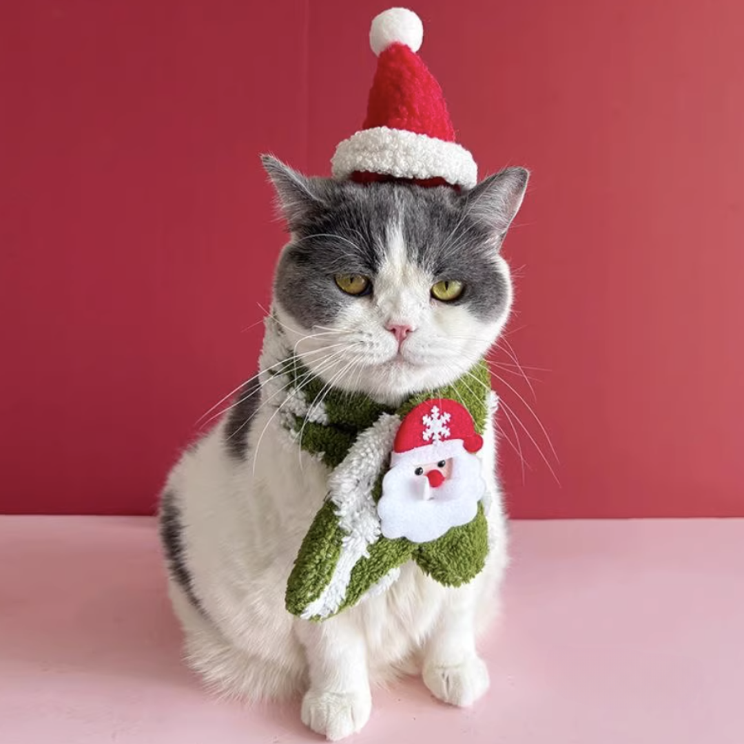 Christmas Bunny Scarf & Hat Set