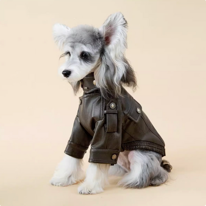 Small dog motorcycle leather jacket warm coat
