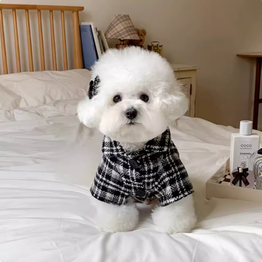 Puppy Couple Outfits: Black and White Checkered Shirt & Dress