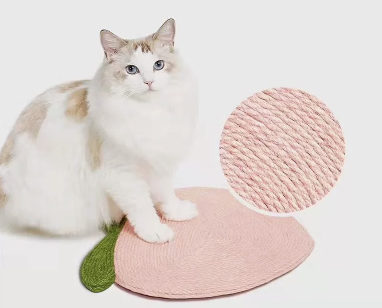 Wall Mounted Cat Scratcher｜Carrots & Peaches & Watermelon