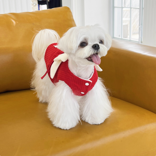 Heart-Shaped Large Bow Fleece-Lined Warmness Leash Vest