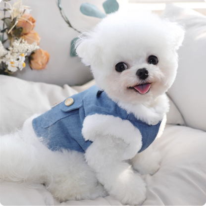 Winter Teddy Bear Coat for Small Dogs (Latchable)