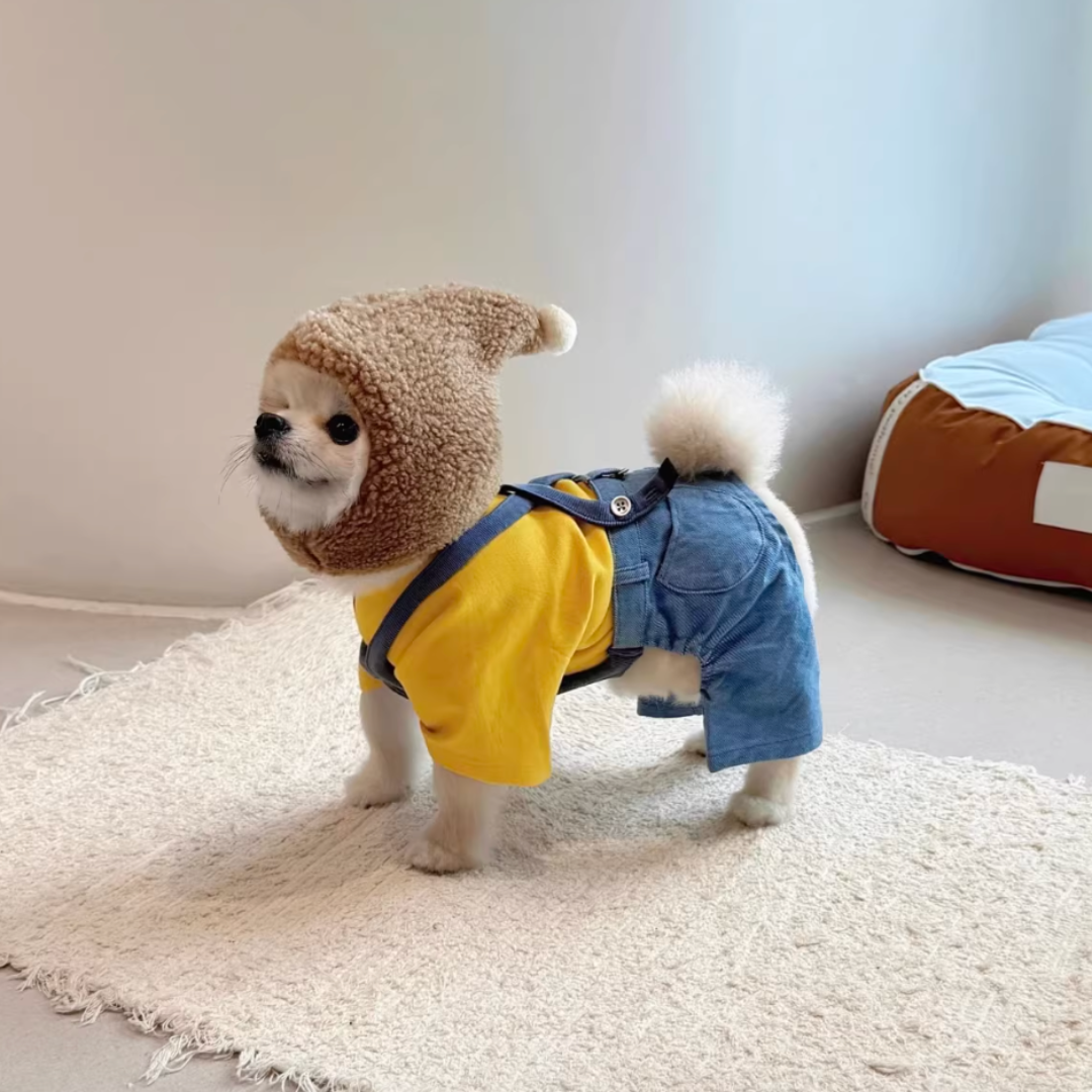 Dog & Cat Winter Warmth Outdoor Fun Wiz Hat