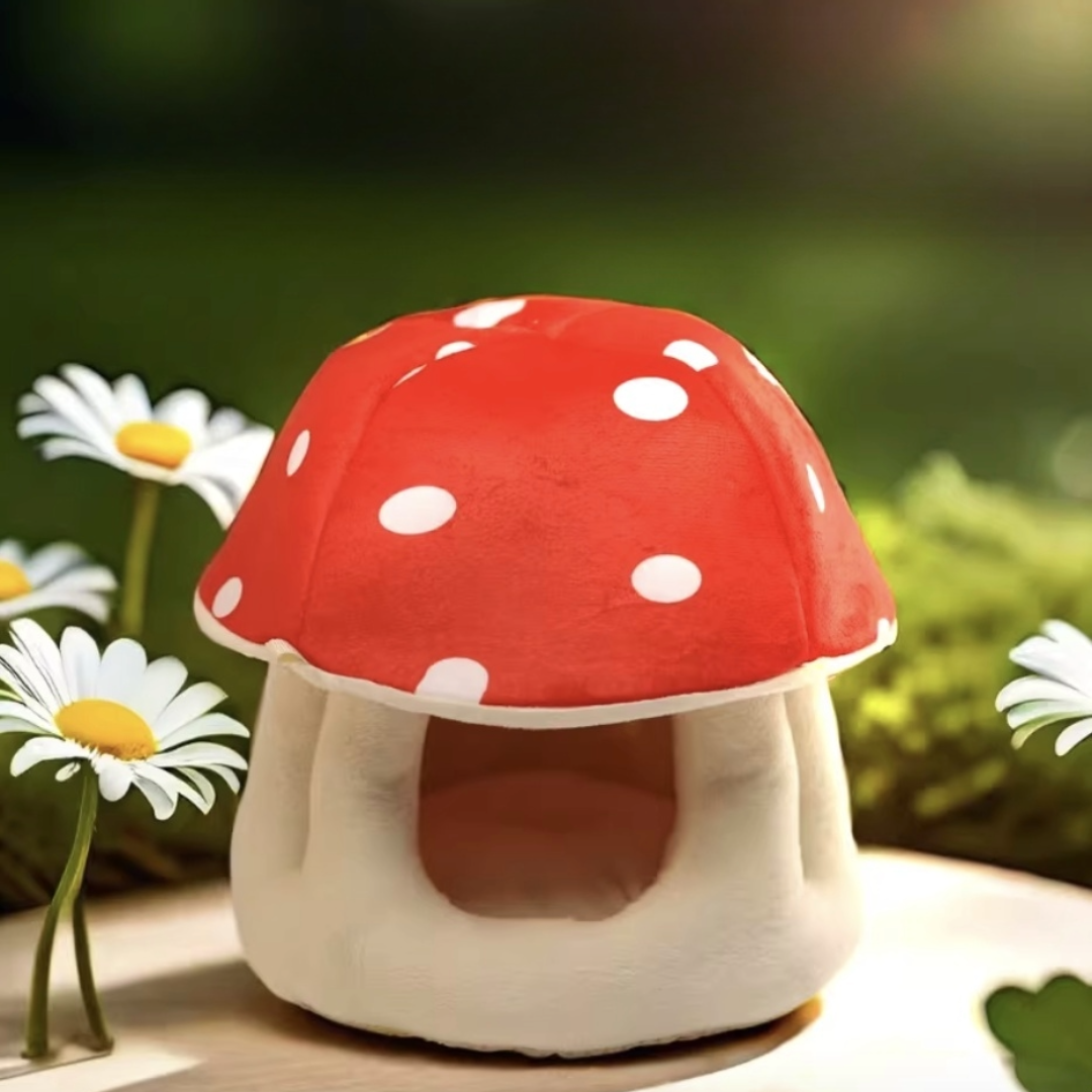 Dwarf Rabbit & Dragon Cat & Guinea Pig Mushroom-Shaped Nest