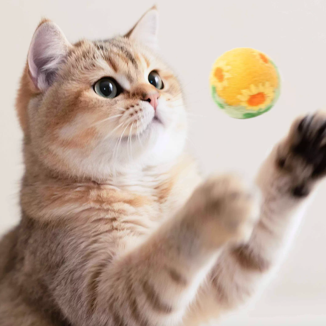 Floral Pattern Wool Felt Cat Toy for Entertainment